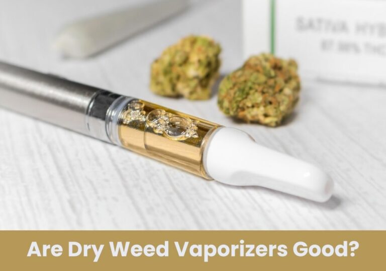 Are Dry Weed Vaporizers Good?