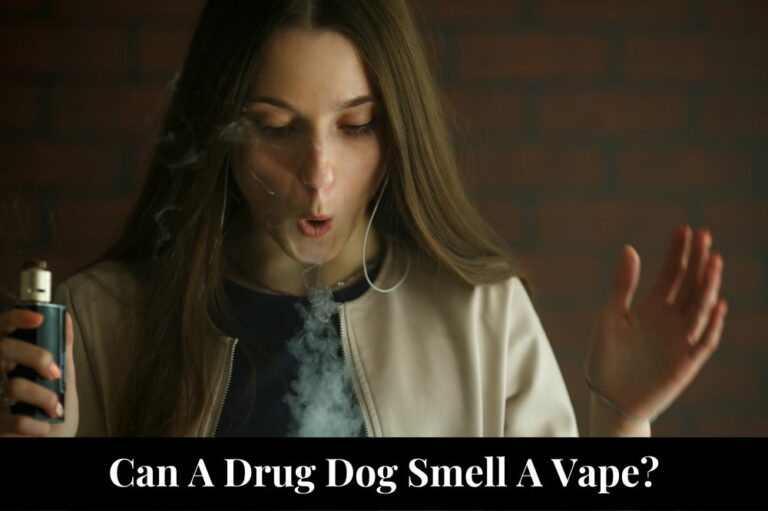Can A Drug Dog Smell A Vape?