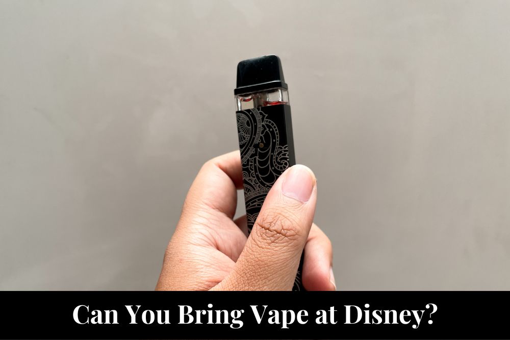 Can You Bring Vape at Disney