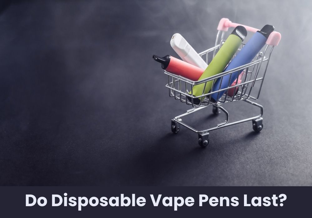 Do Disposable Vape Pens Last