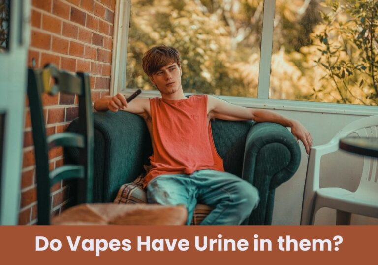 Do Vapes Have Urine in them?