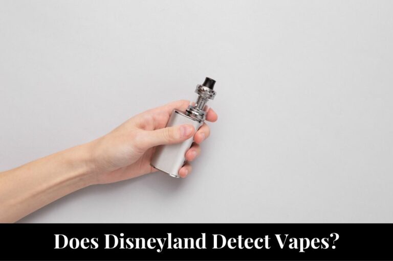 Does Disneyland Detect Vapes?