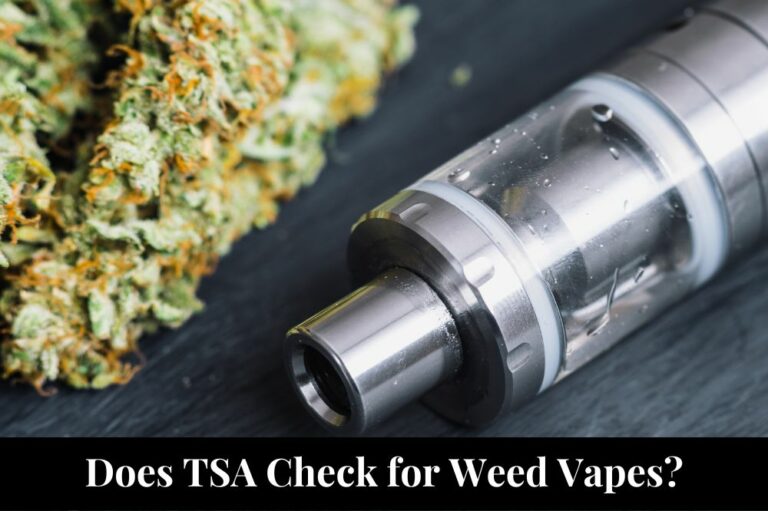 Does TSA Check for Weed Vapes?