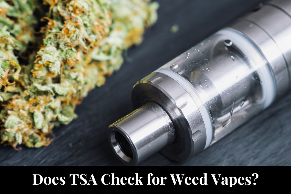 Does TSA Check for Weed Vapes