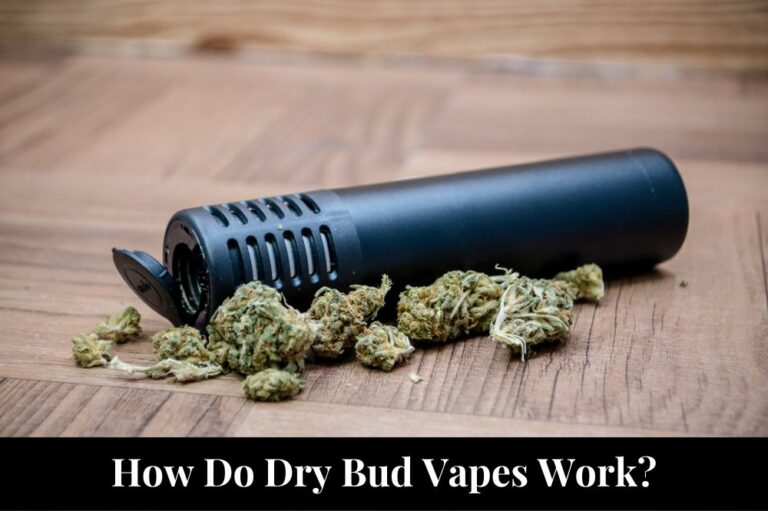How Do Dry Bud Vapes Work?