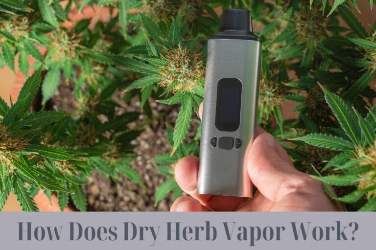 How Does Dry Herb Vapor Work?