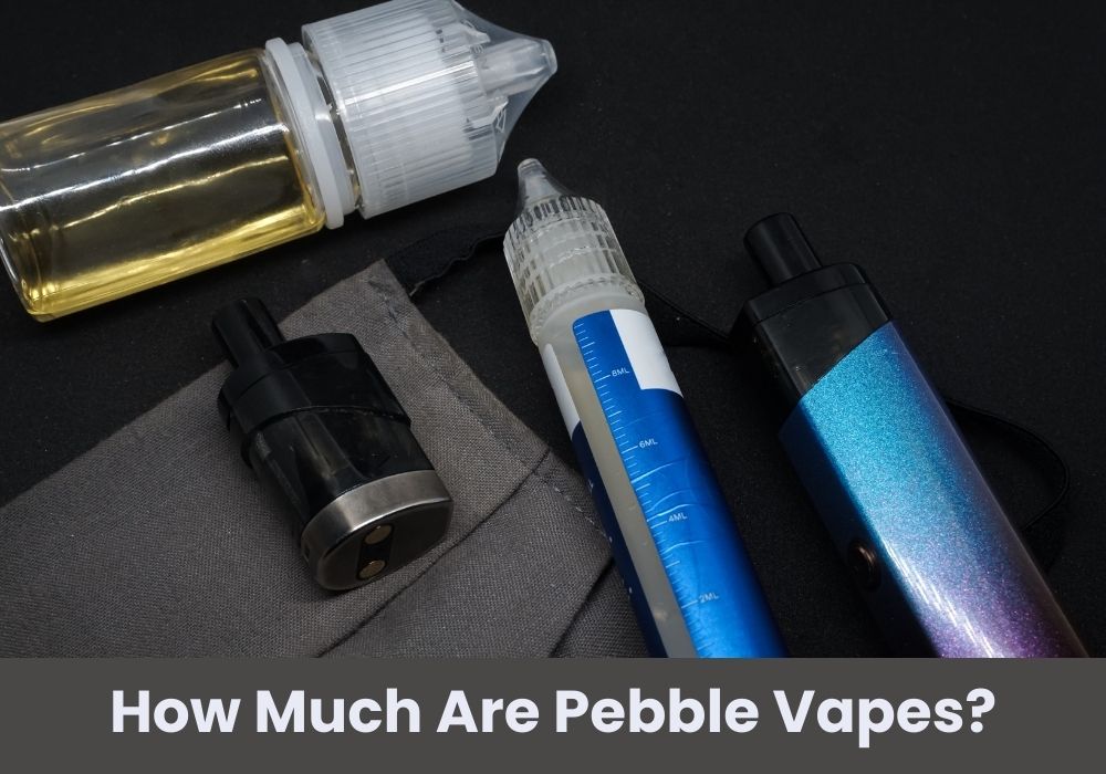How Much Are Pebble Vapes?
