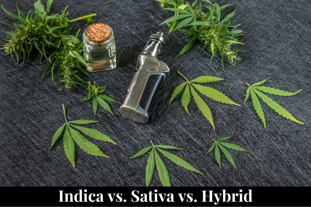 Indica vs. Sativa vs. Hybrid