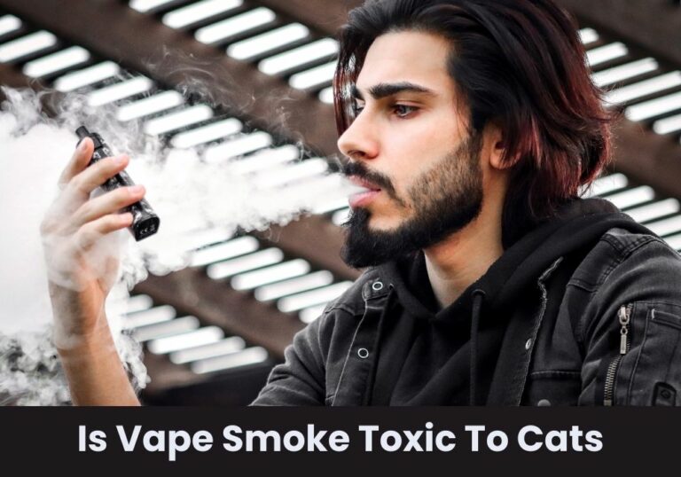 Is Vape Smoke Toxic To Cats