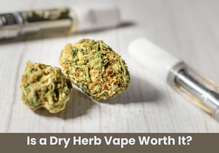 Is a Dry Herb Vape Worth It?