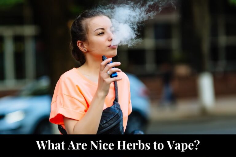 What Are Nice Herbs to Vape?