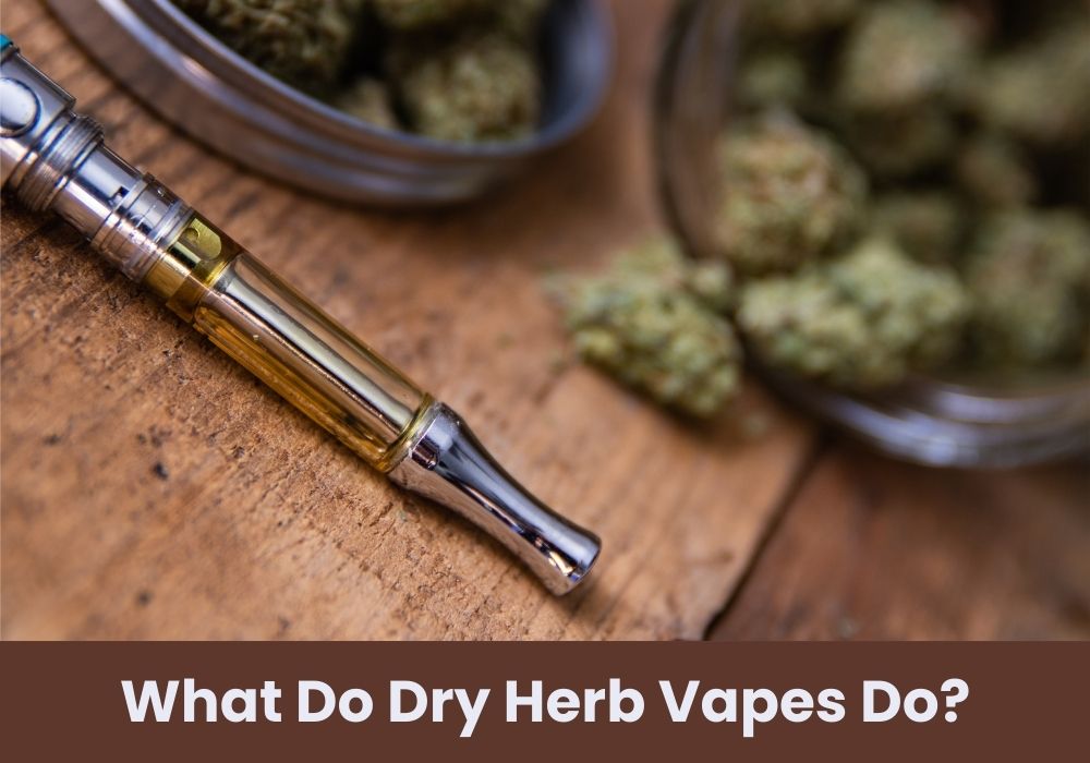 What Do Dry Herb Vapes Do?