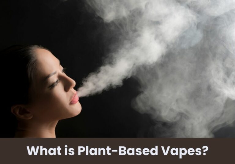 What is Plant-Based Vapes?