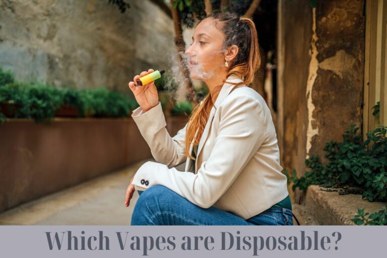 Which Vapes are Disposable?