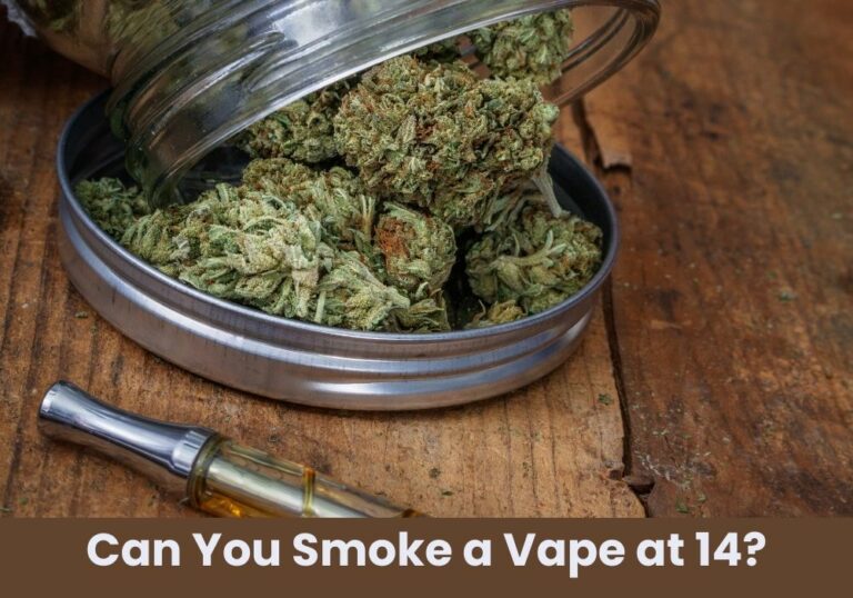 Can You Smoke a Vape at 14?